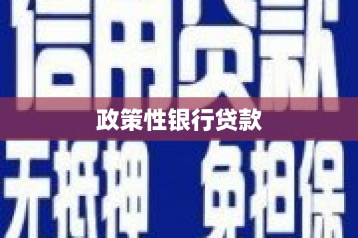 荃湾政策性银行贷款