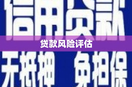 荃湾贷款风险评估
