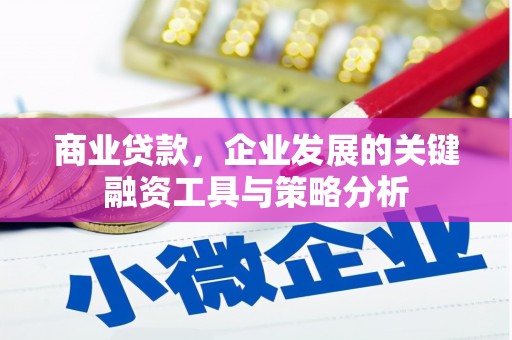 荃湾商业贷款，企业发展的关键融资工具与策略分析