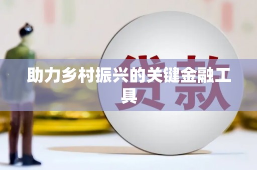 荃湾助力乡村振兴的关键金融工具