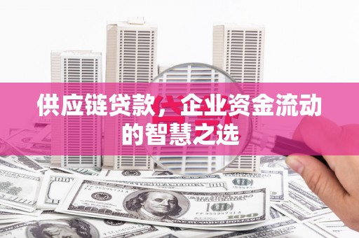荃湾供应链贷款，企业资金流动的智慧之选