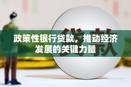 荃湾政策性银行贷款，推动经济发展的关键力量