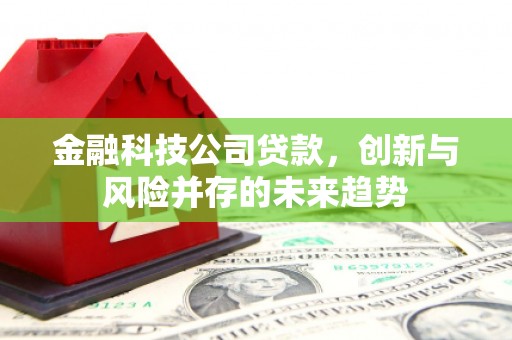 荃湾金融科技公司贷款，创新与风险并存的未来趋势