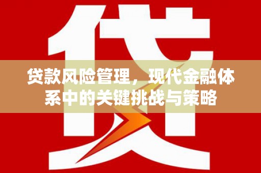 荃湾贷款风险管理，现代金融体系中的关键挑战与策略