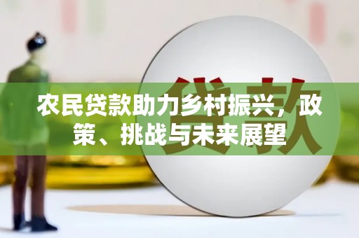 荃湾农民贷款助力乡村振兴，政策、挑战与未来展望