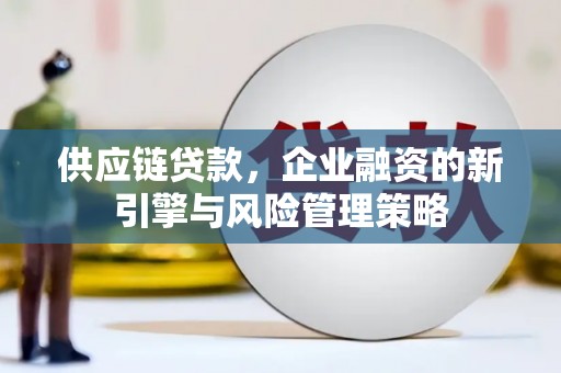 荃湾供应链贷款，企业融资的新引擎与风险管理策略