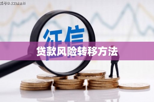荃湾贷款风险转移方法