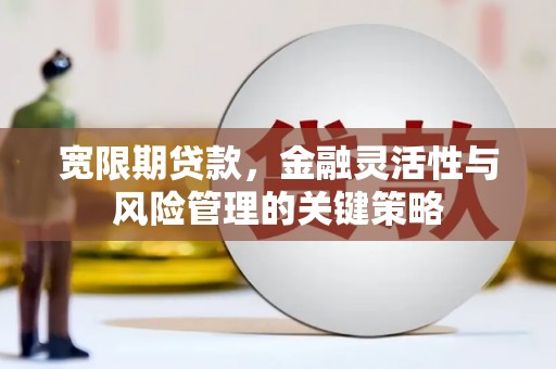 荃湾宽限期贷款，金融灵活性与风险管理的关键策略