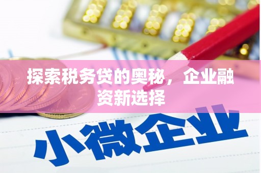 荃湾探索税务贷的奥秘，企业融资新选择