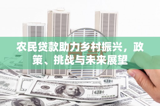 荃湾农民贷款助力乡村振兴，政策、挑战与未来展望