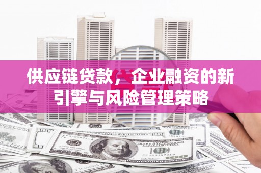 荃湾供应链贷款，企业融资的新引擎与风险管理策略