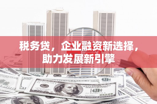 荃湾税务贷，企业融资新选择，助力发展新引擎
