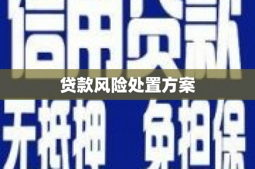 荃湾贷款风险处置方案
