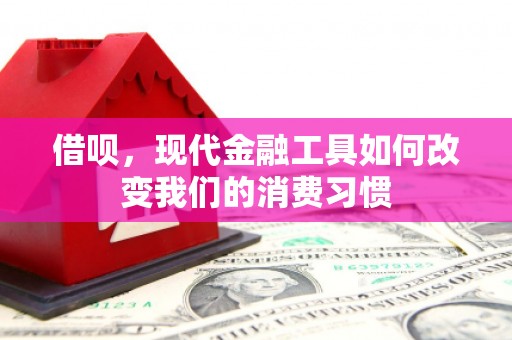 荃湾借呗，现代金融工具如何改变我们的消费习惯