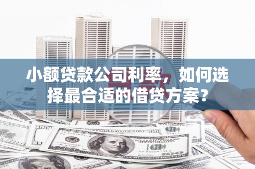 荃湾小额贷款公司利率，如何选择最合适的借贷方案？