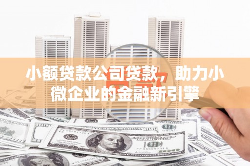 荃湾小额贷款公司贷款，助力小微企业的金融新引擎
