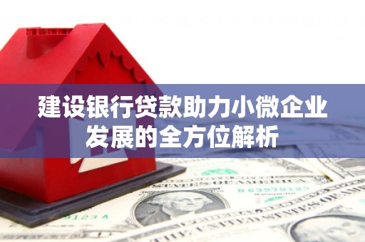 荃湾建设银行贷款助力小微企业发展的全方位解析