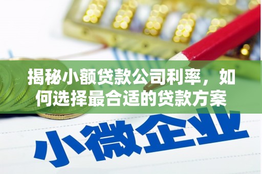 荃湾揭秘小额贷款公司利率，如何选择最合适的贷款方案