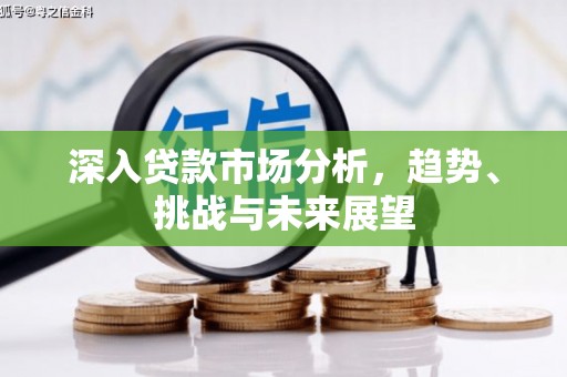 荃湾深入贷款市场分析，趋势、挑战与未来展望