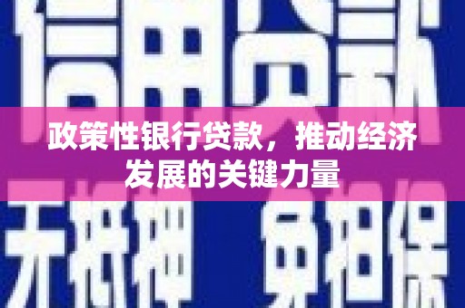 荃湾政策性银行贷款，推动经济发展的关键力量
