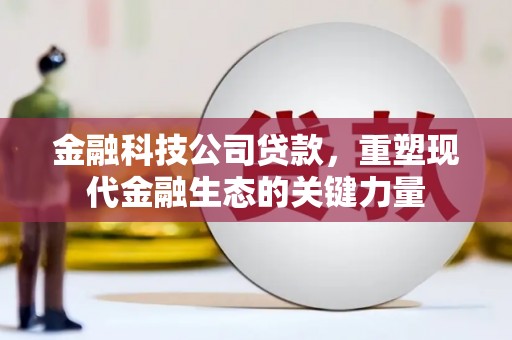 荃湾金融科技公司贷款，重塑现代金融生态的关键力量