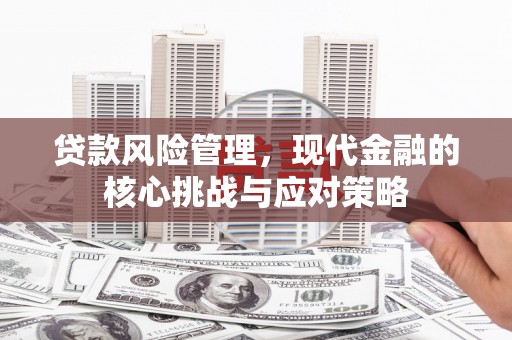 荃湾贷款风险管理，现代金融的核心挑战与应对策略