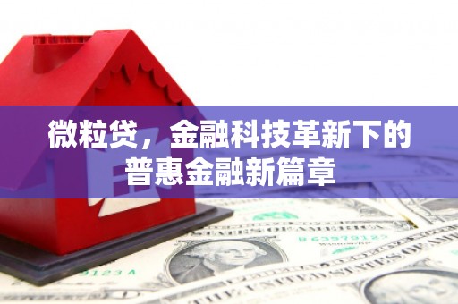 荃湾微粒贷，金融科技革新下的普惠金融新篇章