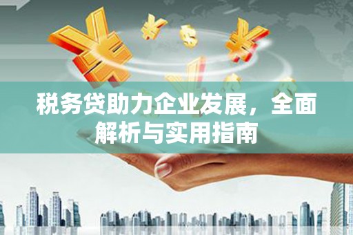 荃湾税务贷助力企业发展，全面解析与实用指南