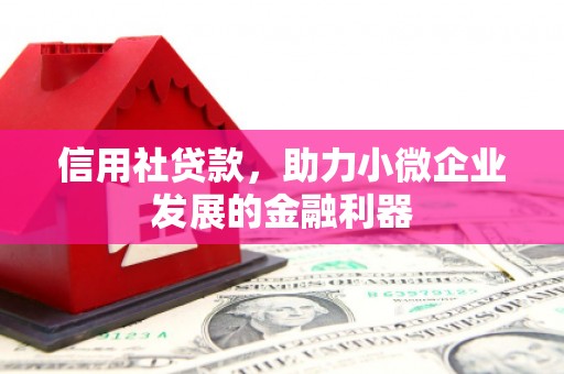 荃湾信用社贷款，助力小微企业发展的金融利器