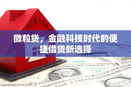 荃湾微粒贷，金融科技时代的便捷借贷新选择