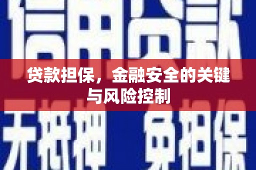 荃湾贷款担保，金融安全的关键与风险控制