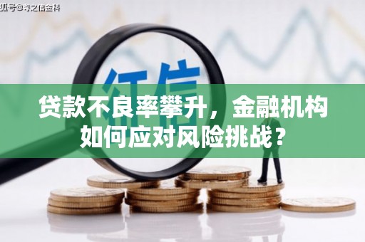 荃湾贷款不良率攀升，金融机构如何应对风险挑战？