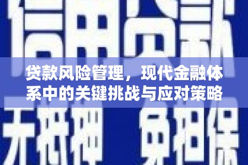 荃湾贷款风险管理，现代金融体系中的关键挑战与应对策略