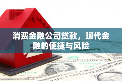 荃湾消费金融公司贷款，现代金融的便捷与风险