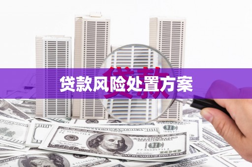 荃湾贷款风险处置方案